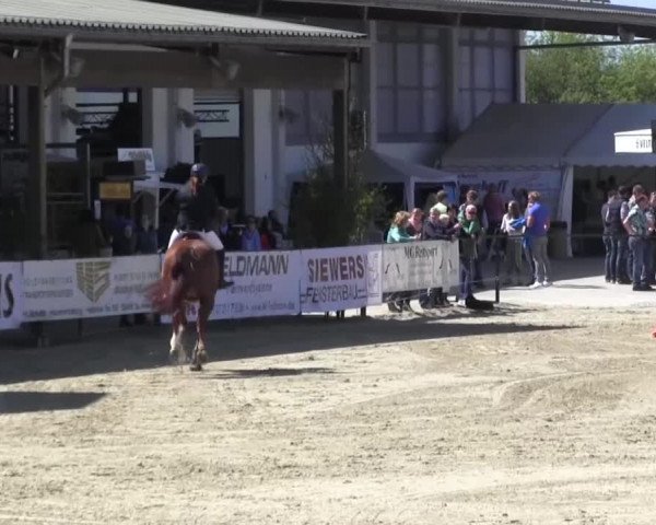 Reitturnier Hellefeld 2016