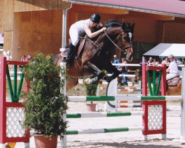 broodmare Nina des Baumes CH (Swiss Warmblood, 2006, from Landjuweel St Hubert)