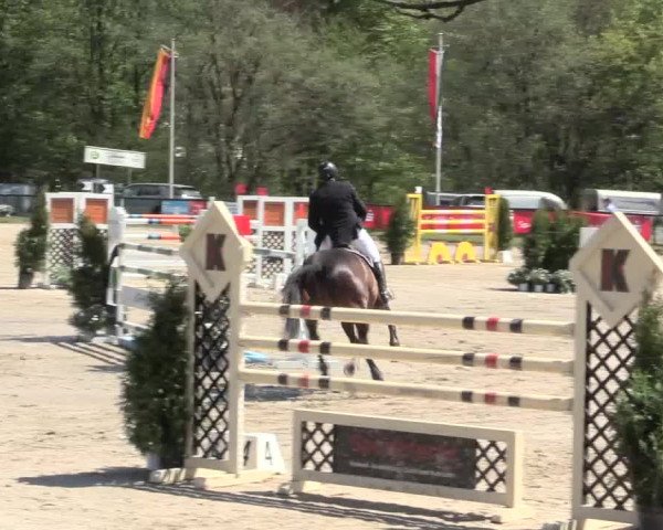 Reitturnier Halver 2016