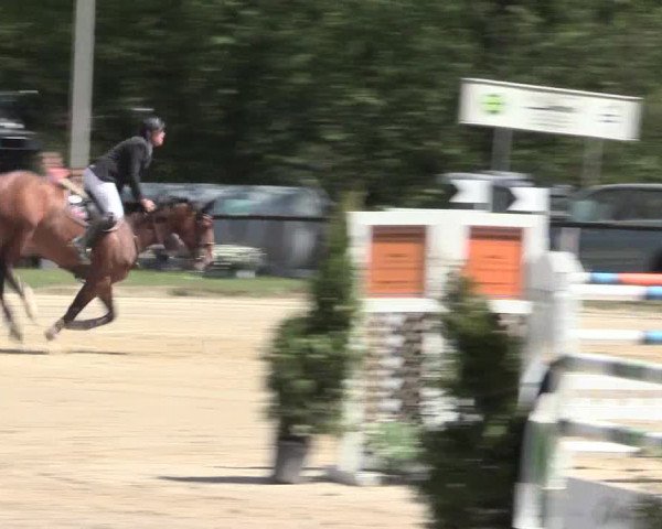 Reitturnier Halver 2016