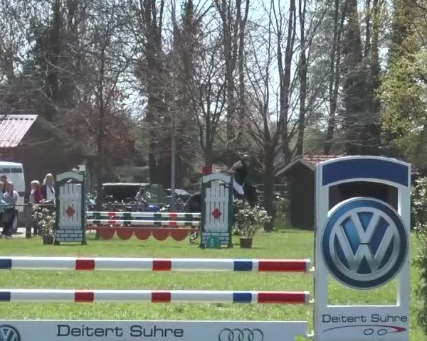 Reitturnier Lienen 2016
