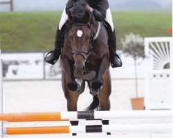 jumper Quick des Baumes CH (Swiss Warmblood, 2009, from Landjuweel St Hubert)
