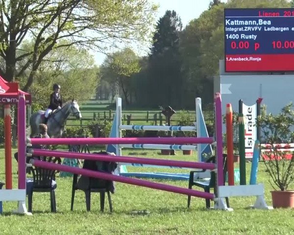 Reitturnier Lienen 2016
