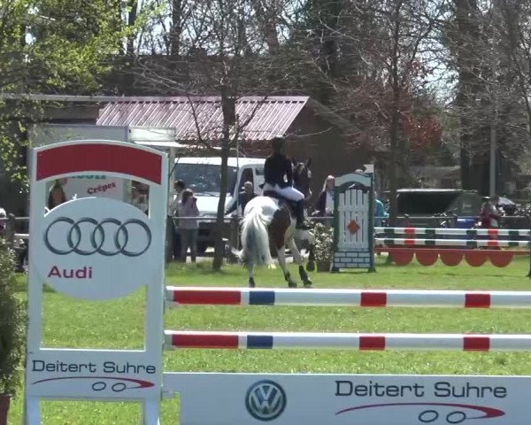 Reitturnier Lienen 2016
