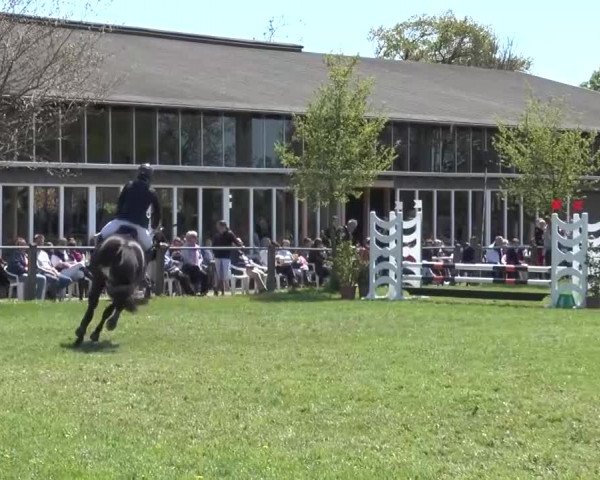 Reitturnier Lienen 2016
