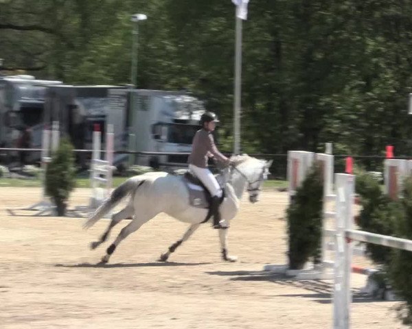 Reitturnier Halver 2016