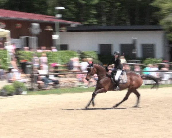 Reitturnier Halver 2016