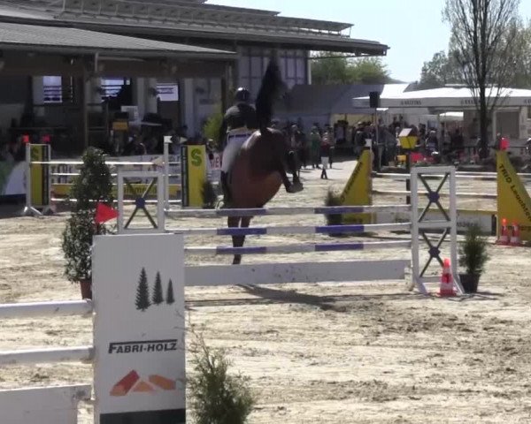 Reitturnier Hellefeld 2016