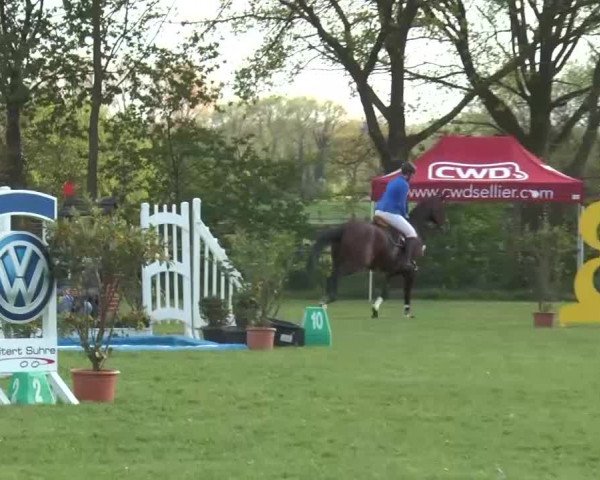 Reitturnier Lienen 2016