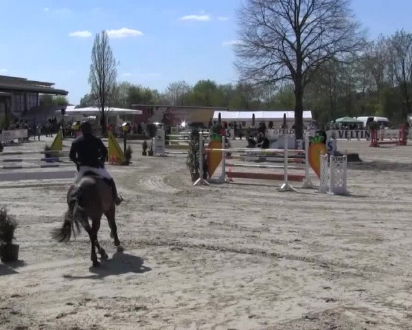 Reitturnier Hellefeld 2016