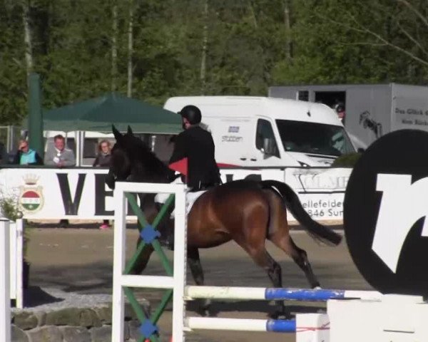 Reitturnier Hellefeld 2016