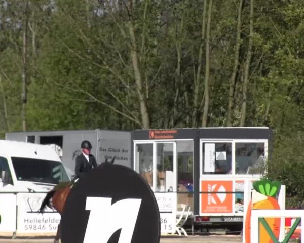 Reitturnier Hellefeld 2016
