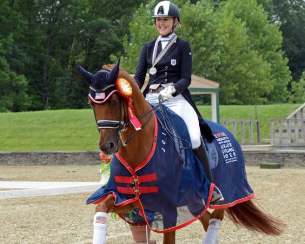 Zuchtstute Hønnerups Event (Dänisches Warmblut, 2005, von Blue Hors Romanov)
