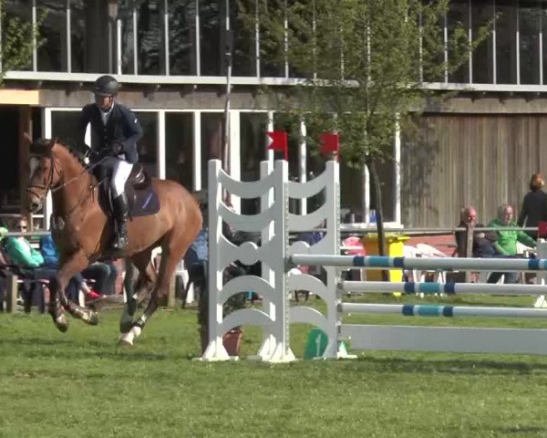 Reitturnier Lienen 2016