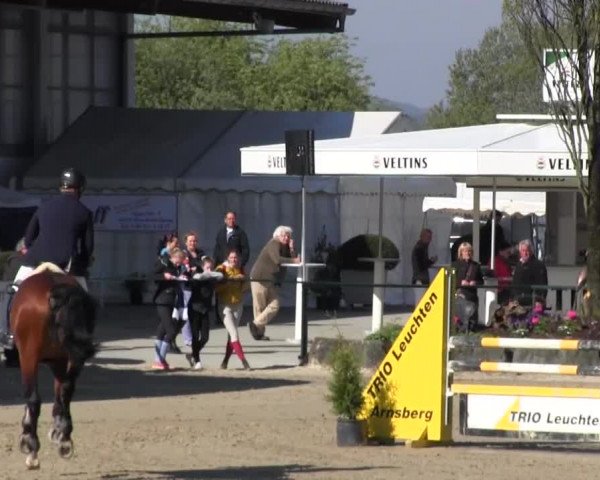 Reitturnier Hellefeld 2016
