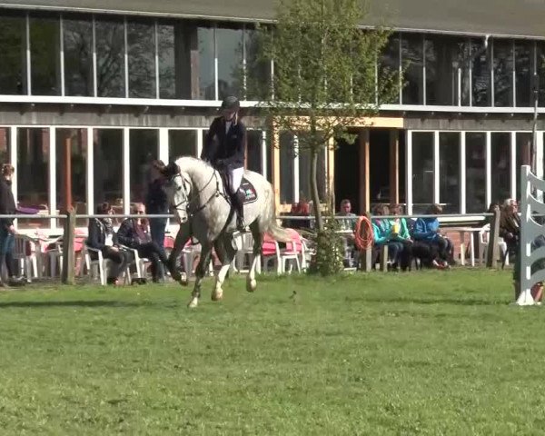 Reitturnier Lienen 2016