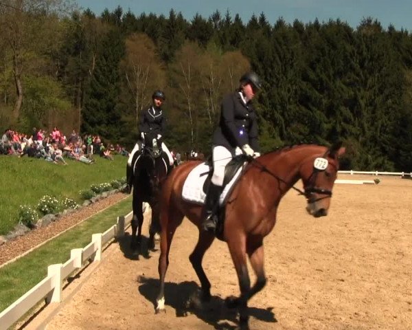 Reitturnier Halver 2016