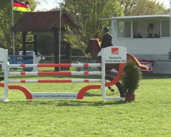 Reitturnier Lienen 2016