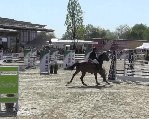 Reitturnier Hellefeld 2016