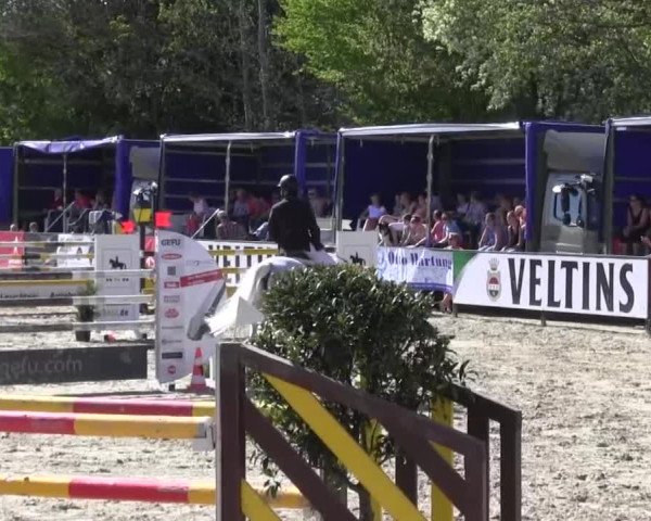 Reitturnier Hellefeld 2016