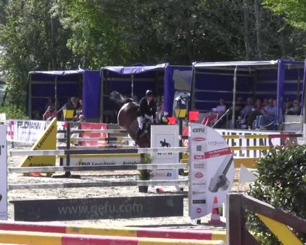 Reitturnier Hellefeld 2016