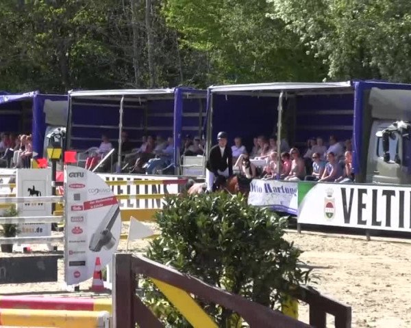 Reitturnier Hellefeld 2016
