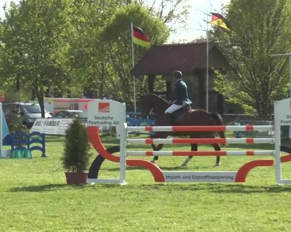 Reitturnier Lienen 2016