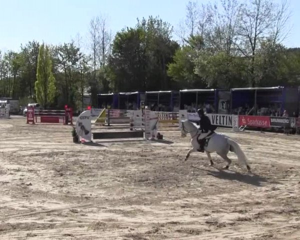 Reitturnier Hellefeld 2016