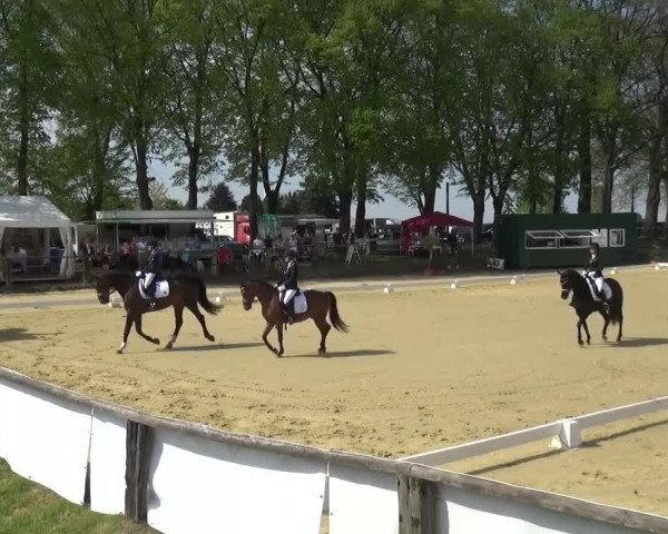 Reitturnier Kaarst - Reitanlage Bierewitz 2016