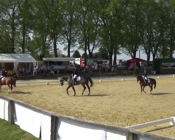 Reitturnier Kaarst - Reitanlage Bierewitz 2016