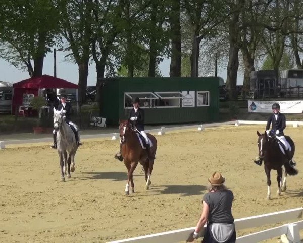 Reitturnier Kaarst - Reitanlage Bierewitz 2016