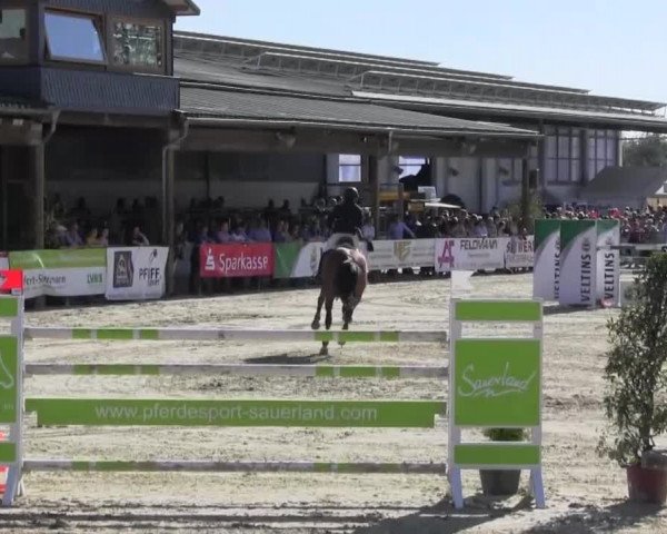 Reitturnier Hellefeld 2016
