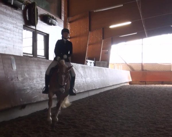 Reitturnier Hellefeld 2016