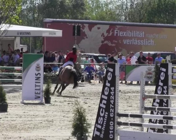 Reitturnier Hellefeld 2016