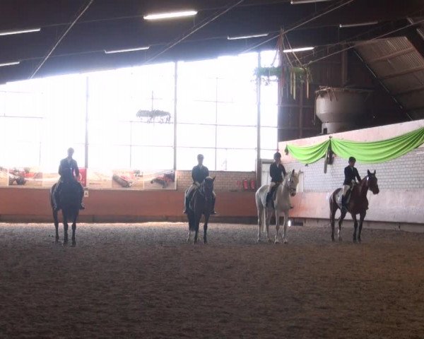 Reitturnier Hellefeld 2016