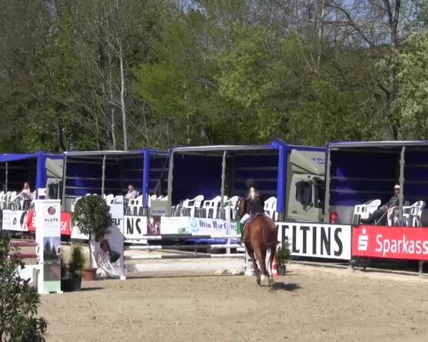 Reitturnier Hellefeld 2016