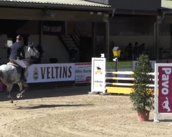 Reitturnier Hellefeld 2016