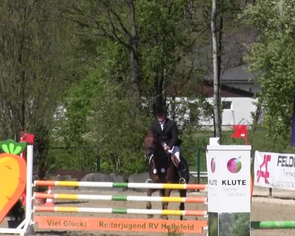 Reitturnier Hellefeld 2016