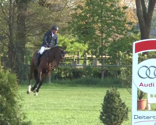 Reitturnier Lienen 2016
