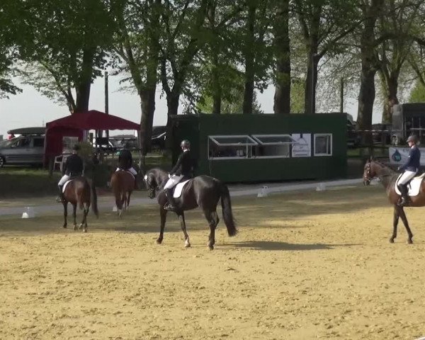 Reitturnier Kaarst - Reitanlage Bierewitz 2016
