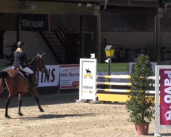 Reitturnier Hellefeld 2016