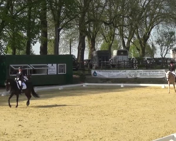 Reitturnier Kaarst - Reitanlage Bierewitz 2016