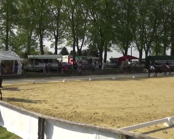 Reitturnier Kaarst - Reitanlage Bierewitz 2016