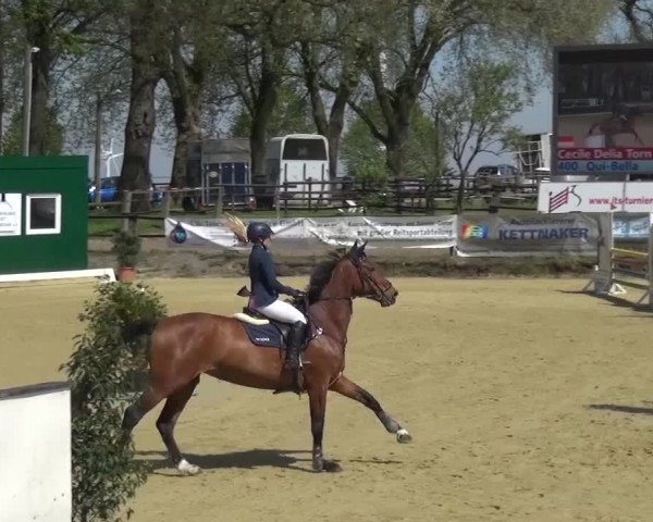 Reitturnier Kaarst - Reitanlage Bierewitz 2016