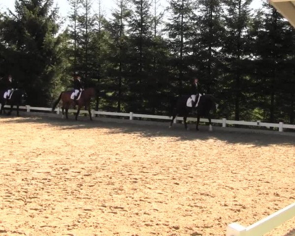 Reitturnier Halver 2016