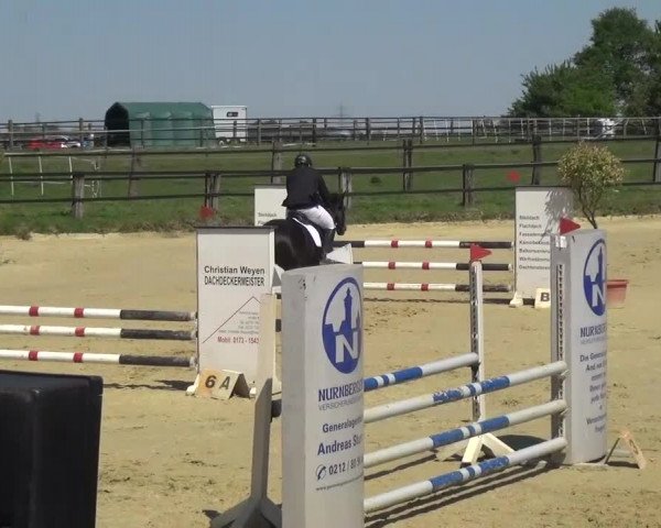 Reitturnier Kaarst - Reitanlage Bierewitz 2016