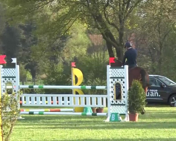 Reitturnier Lienen 2016
