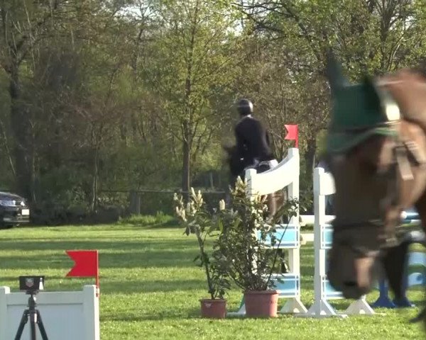 Reitturnier Lienen 2016