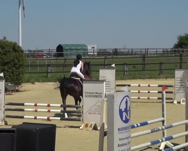 Reitturnier Kaarst - Reitanlage Bierewitz 2016