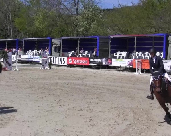 Reitturnier Hellefeld 2016
